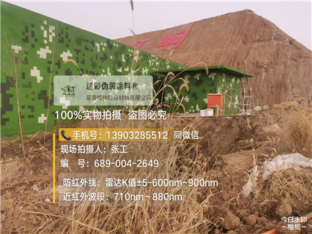 淮北星空迷彩墙施工队